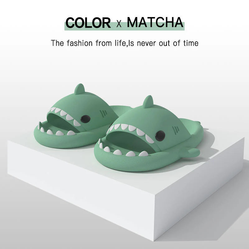 Shark Cartoon Soft Adult Slippers